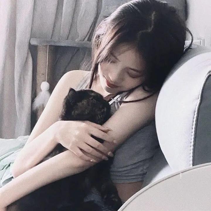 毒网风云